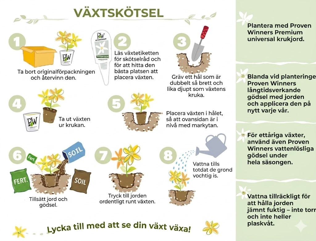 Plommonträd fröblandning – 100 st