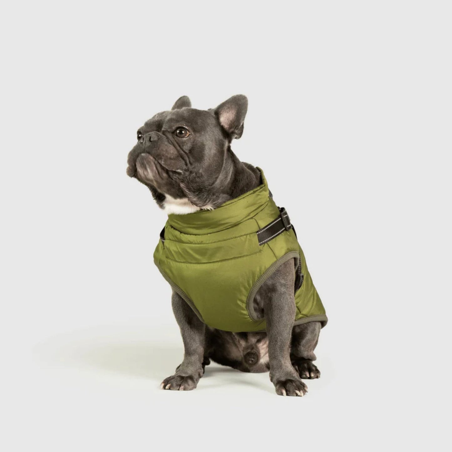 DoggyKings™ hundjacka med integrerad sele – vattentät och varm (3-i-1-design)