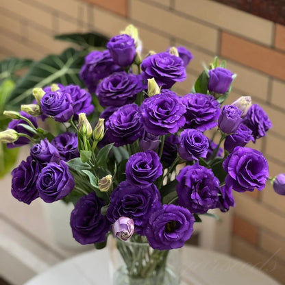 Taggfria Lisianthus-frön (100 st) 💐 Lisianthus-frön