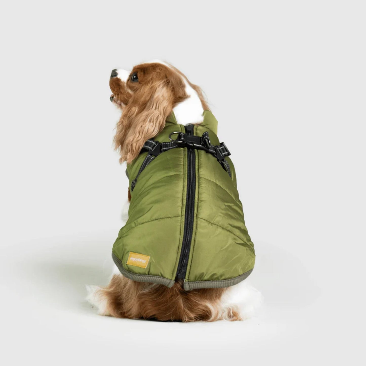 DoggyKings™ hundjacka med integrerad sele – vattentät och varm (3-i-1-design)