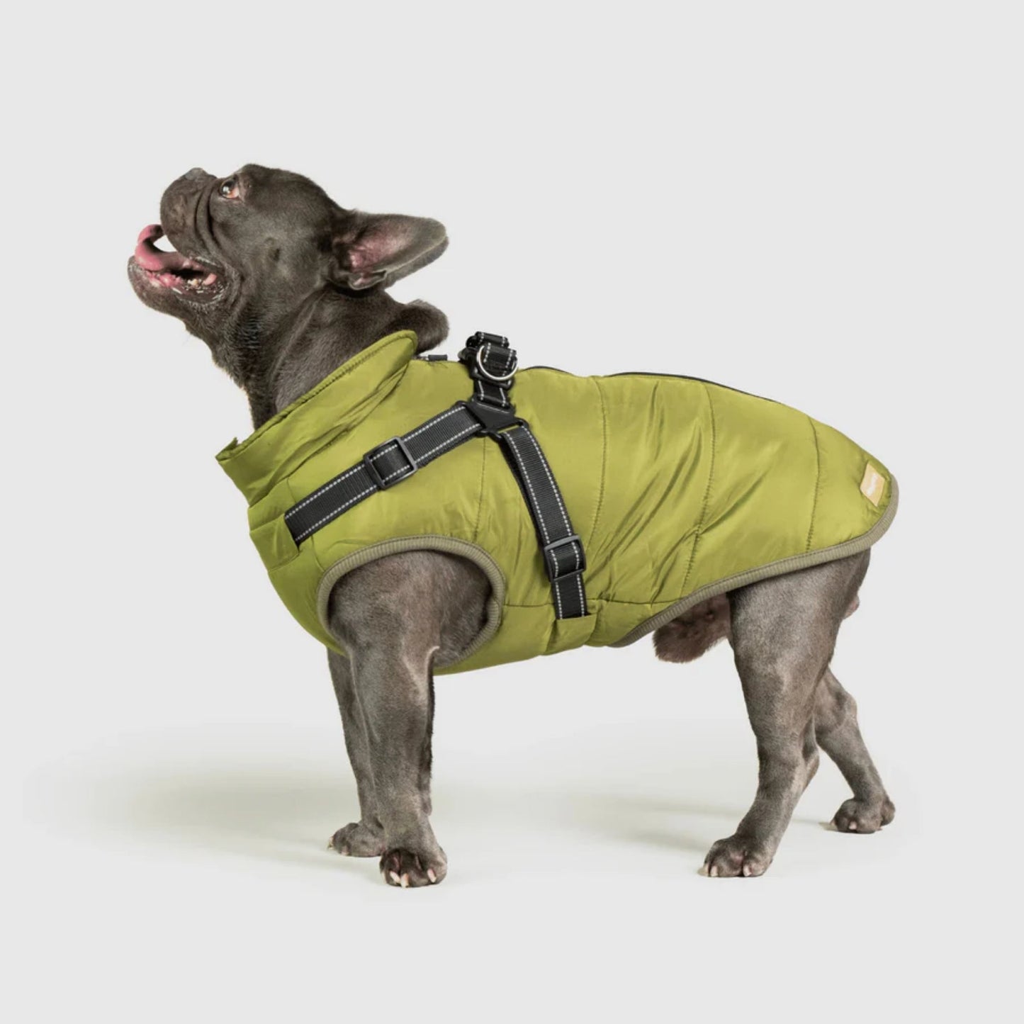 DoggyKings™ hundjacka med integrerad sele – vattentät och varm (3-i-1-design)