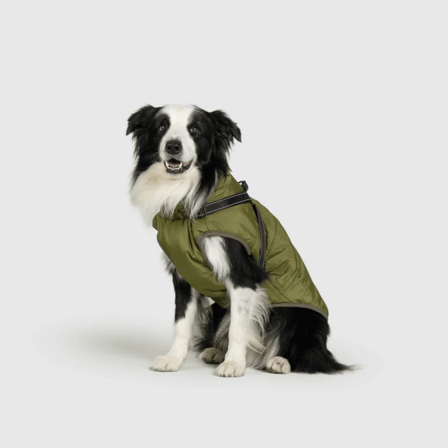 DoggyKings™ hundjacka med integrerad sele – vattentät och varm (3-i-1-design)