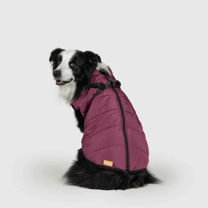 DoggyKings™ hundjacka med integrerad sele – vattentät och varm (3-i-1-design)