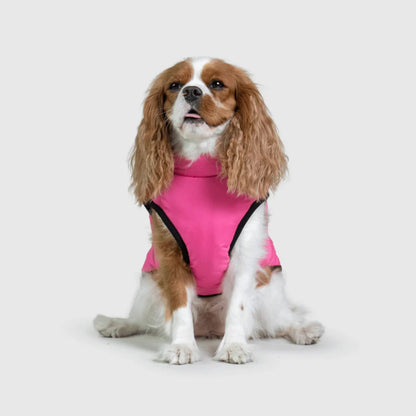 DoggyKings™ hundjacka med integrerad sele – vattentät och varm (3-i-1-design)
