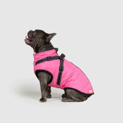 DoggyKings™ hundjacka med integrerad sele – vattentät och varm (3-i-1-design)