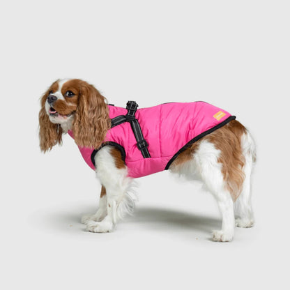 DoggyKings™ hundjacka med integrerad sele – vattentät och varm (3-i-1-design)