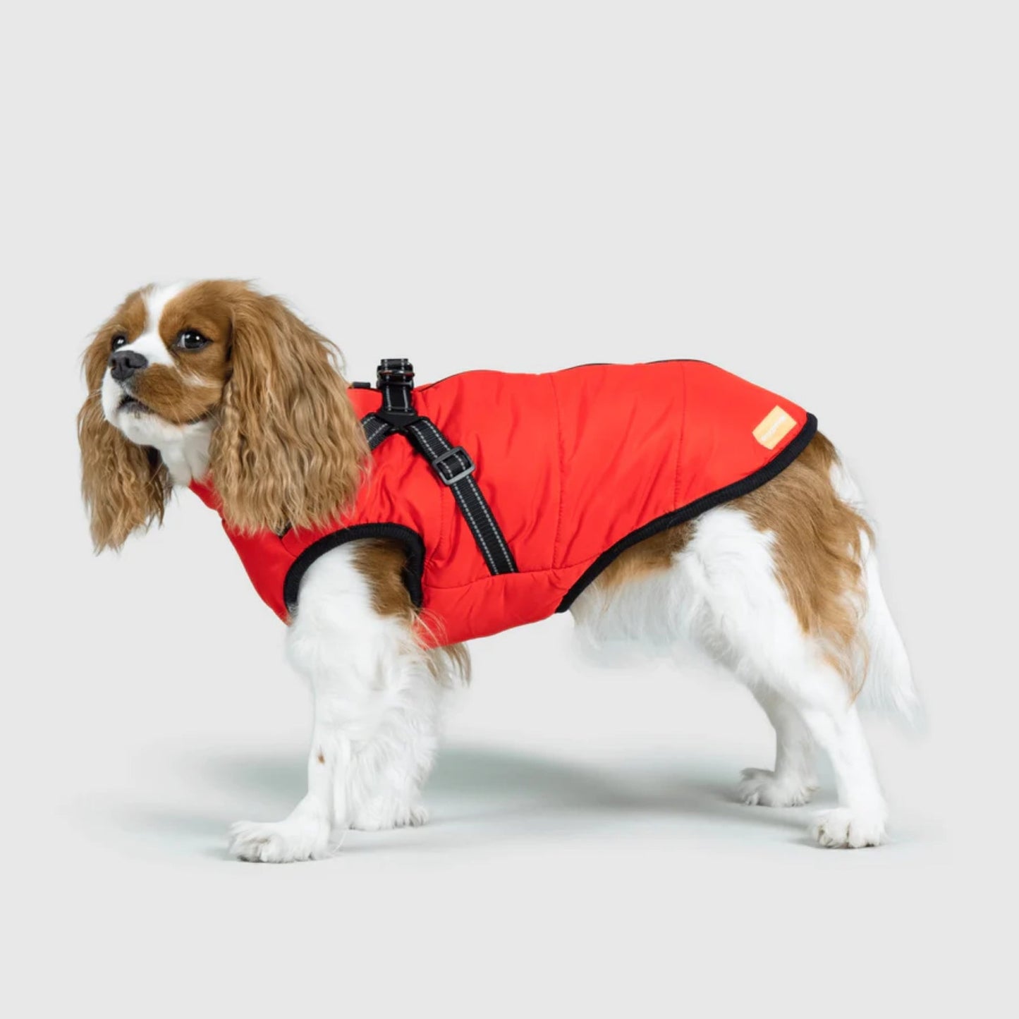 DoggyKings™ hundjacka med integrerad sele – vattentät och varm (3-i-1-design)