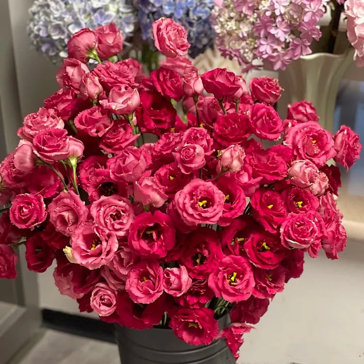 Taggfria Lisianthus-frön (100 st) 💐 Lisianthus-frön