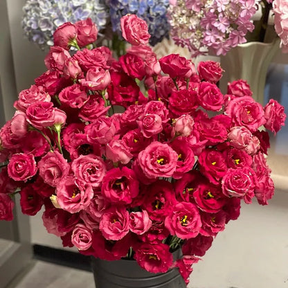 Taggfria Lisianthus-frön (100 st) 💐 Lisianthus-frön