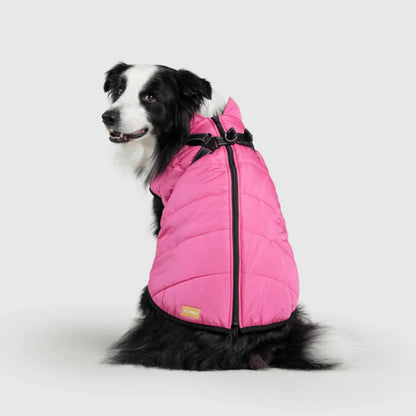 DoggyKings™ hundjacka med integrerad sele – vattentät och varm (3-i-1-design)