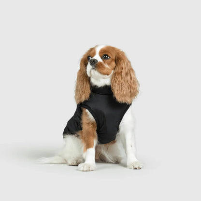 DoggyKings™ hundjacka med integrerad sele – vattentät och varm (3-i-1-design)