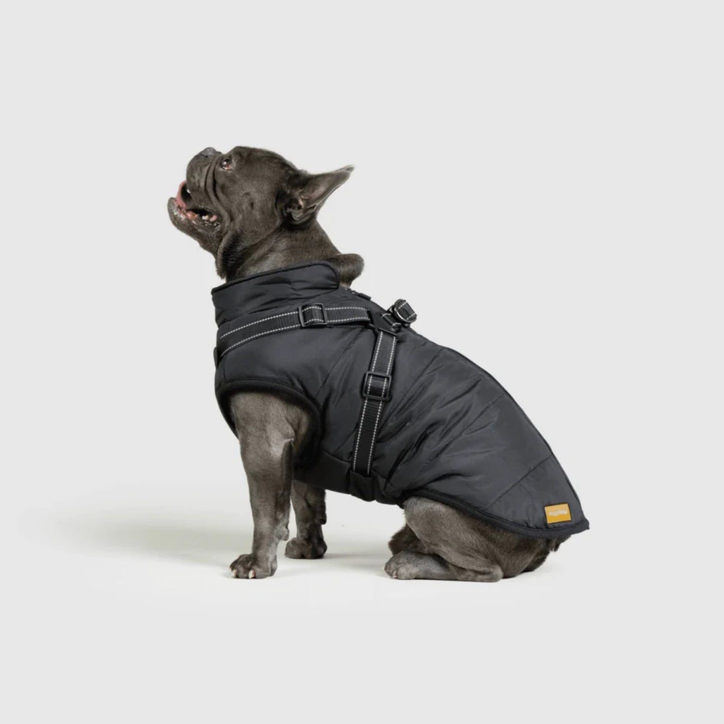 DoggyKings™ hundjacka med integrerad sele – vattentät och varm (3-i-1-design)