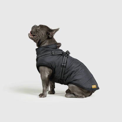 DoggyKings™ hundjacka med integrerad sele – vattentät och varm (3-i-1-design)