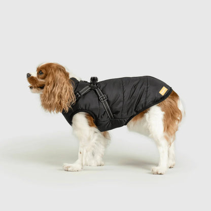 DoggyKings™ hundjacka med integrerad sele – vattentät och varm (3-i-1-design)