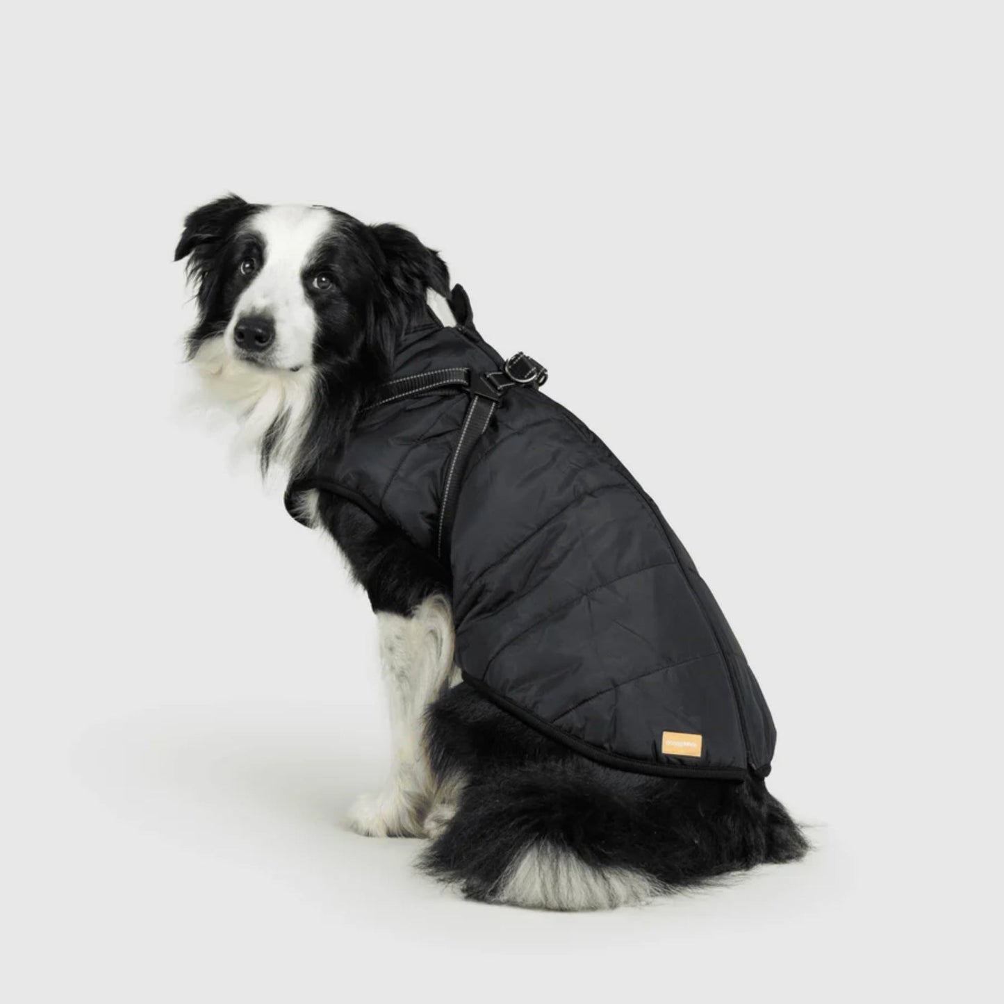 DoggyKings™ hundjacka med integrerad sele – vattentät och varm (3-i-1-design)