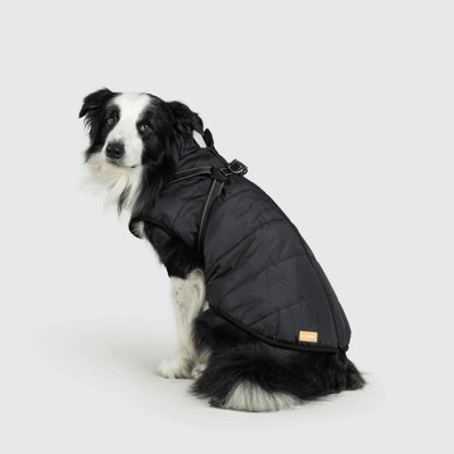 DoggyKings™ hundjacka med integrerad sele – vattentät och varm (3-i-1-design)