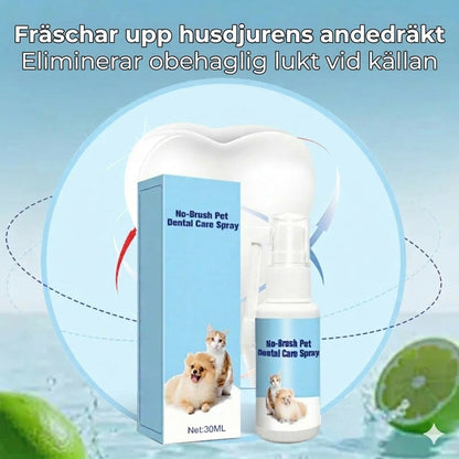Tandspray för husdjurs tandvård