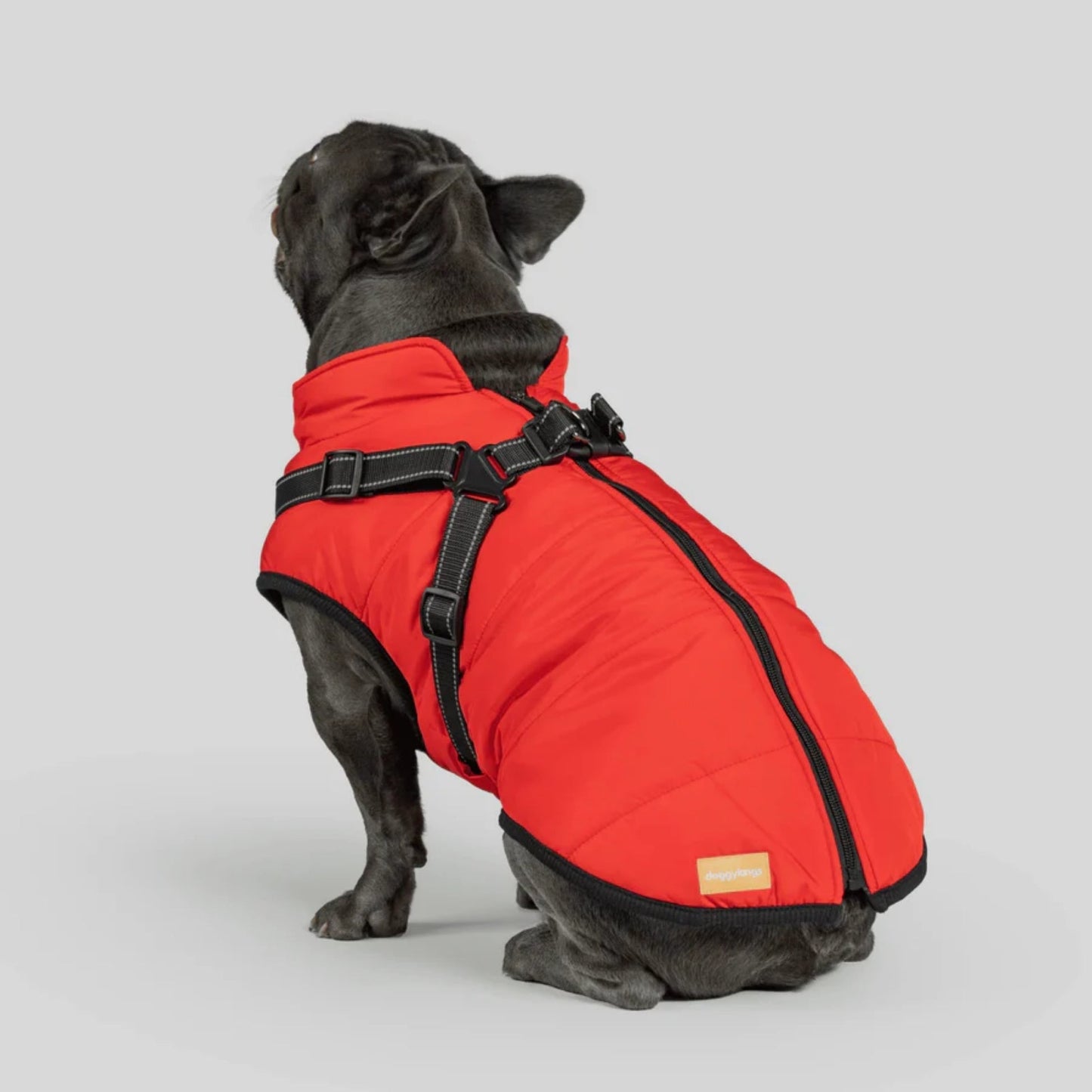 DoggyKings™ hundjacka med integrerad sele – vattentät och varm (3-i-1-design)