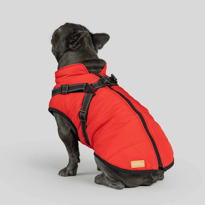 DoggyKings™ hundjacka med integrerad sele – vattentät och varm (3-i-1-design)