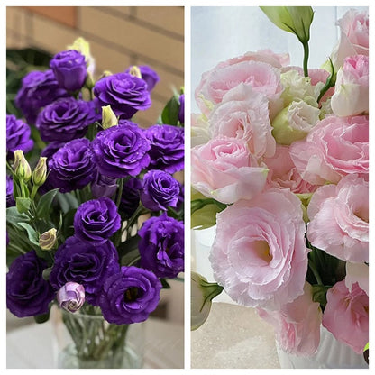 Taggfria Lisianthus-frön (100 st) 💐 Lisianthus-frön