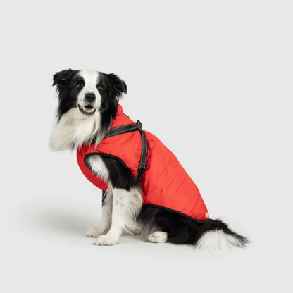 DoggyKings™ hundjacka med integrerad sele – vattentät och varm (3-i-1-design)