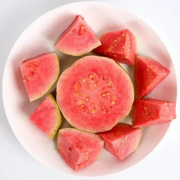 Ekologiska rosa guavafrön – 60 st