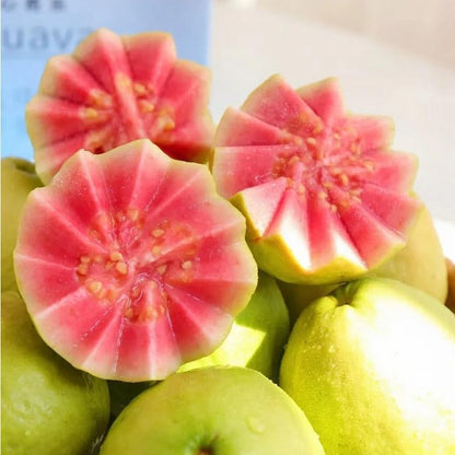 Ekologiska rosa guavafrön – 60 st