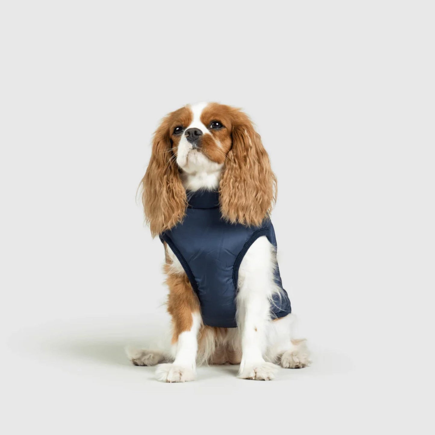 DoggyKings™ hundjacka med integrerad sele – vattentät och varm (3-i-1-design)