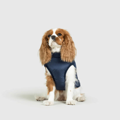 DoggyKings™ hundjacka med integrerad sele – vattentät och varm (3-i-1-design)