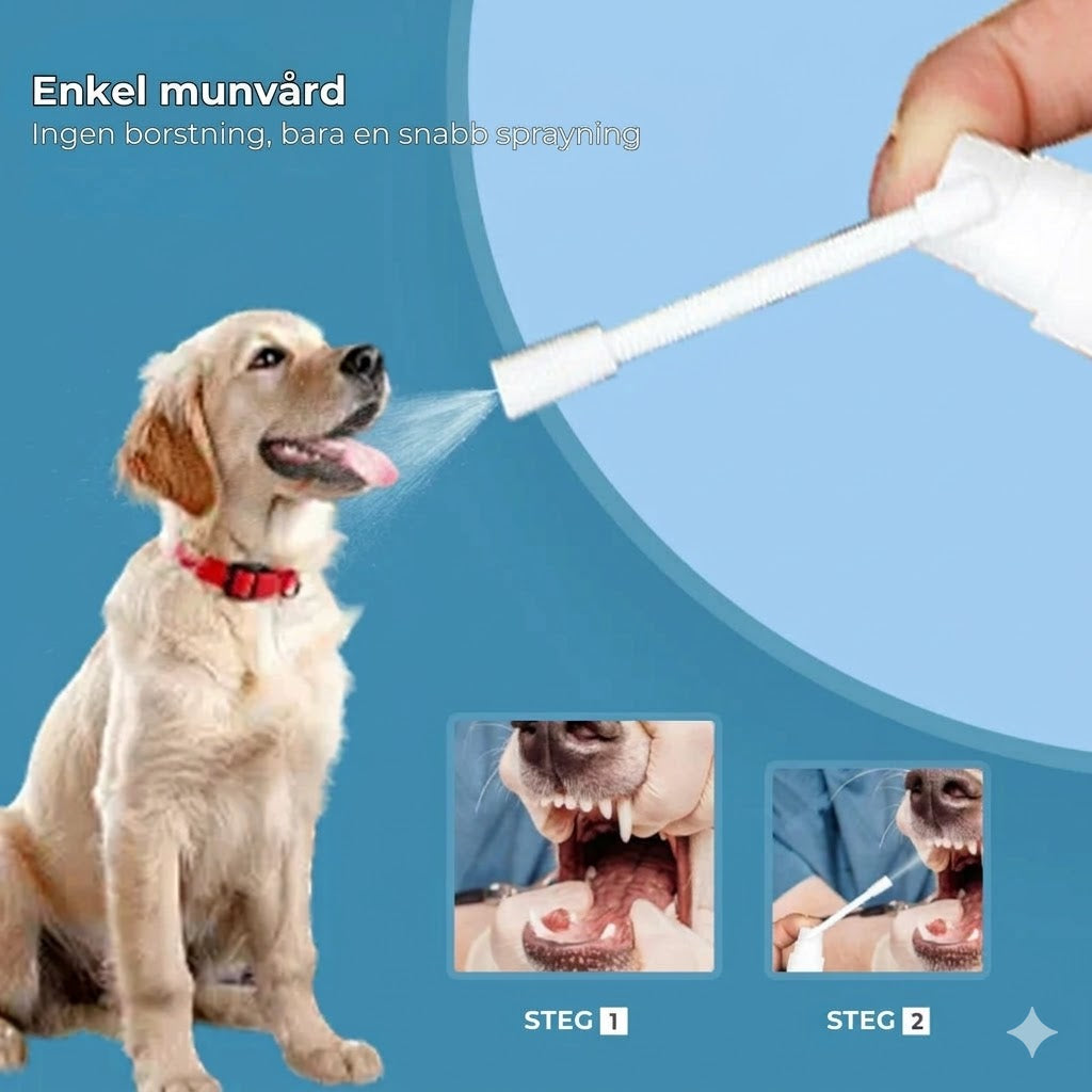 Tandspray för husdjurs tandvård