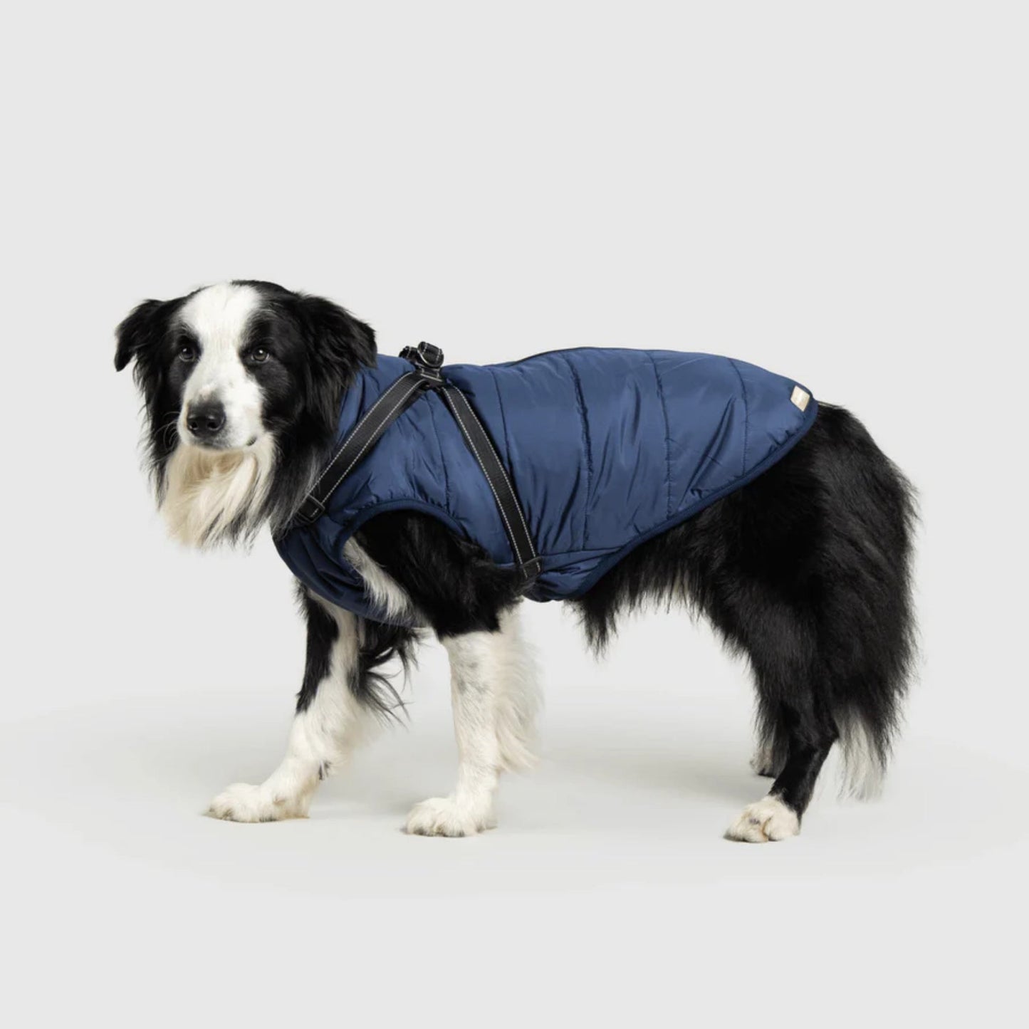 DoggyKings™ hundjacka med integrerad sele – vattentät och varm (3-i-1-design)