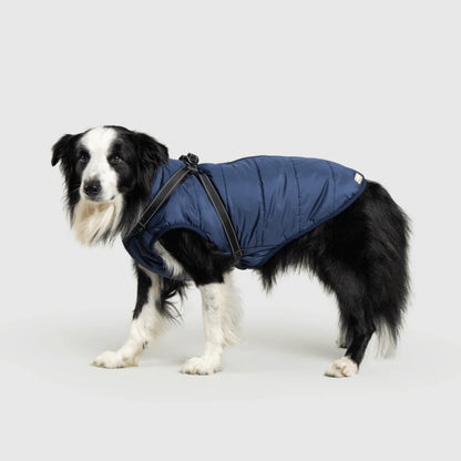 DoggyKings™ hundjacka med integrerad sele – vattentät och varm (3-i-1-design)