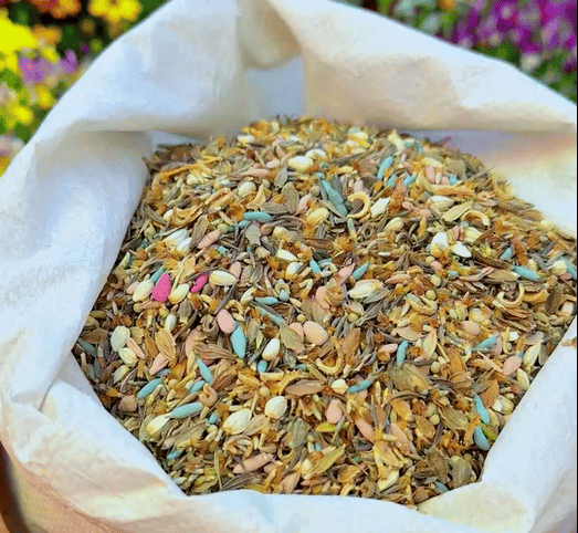 Färgglad fröblandning – Över 60 olika sorter (1000 frön)