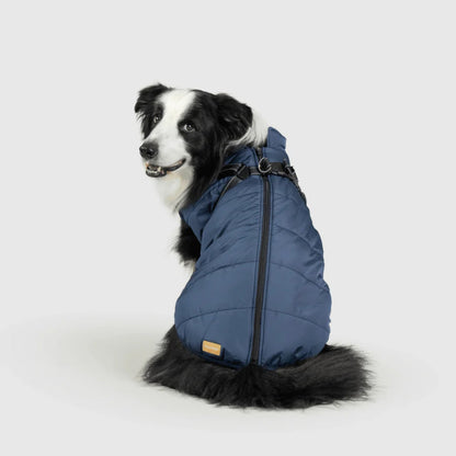DoggyKings™ hundjacka med integrerad sele – vattentät och varm (3-i-1-design)