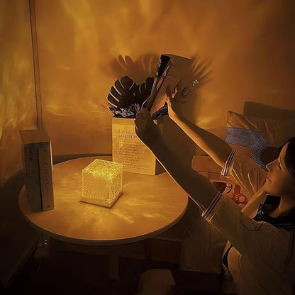 Noorderlicht Projector