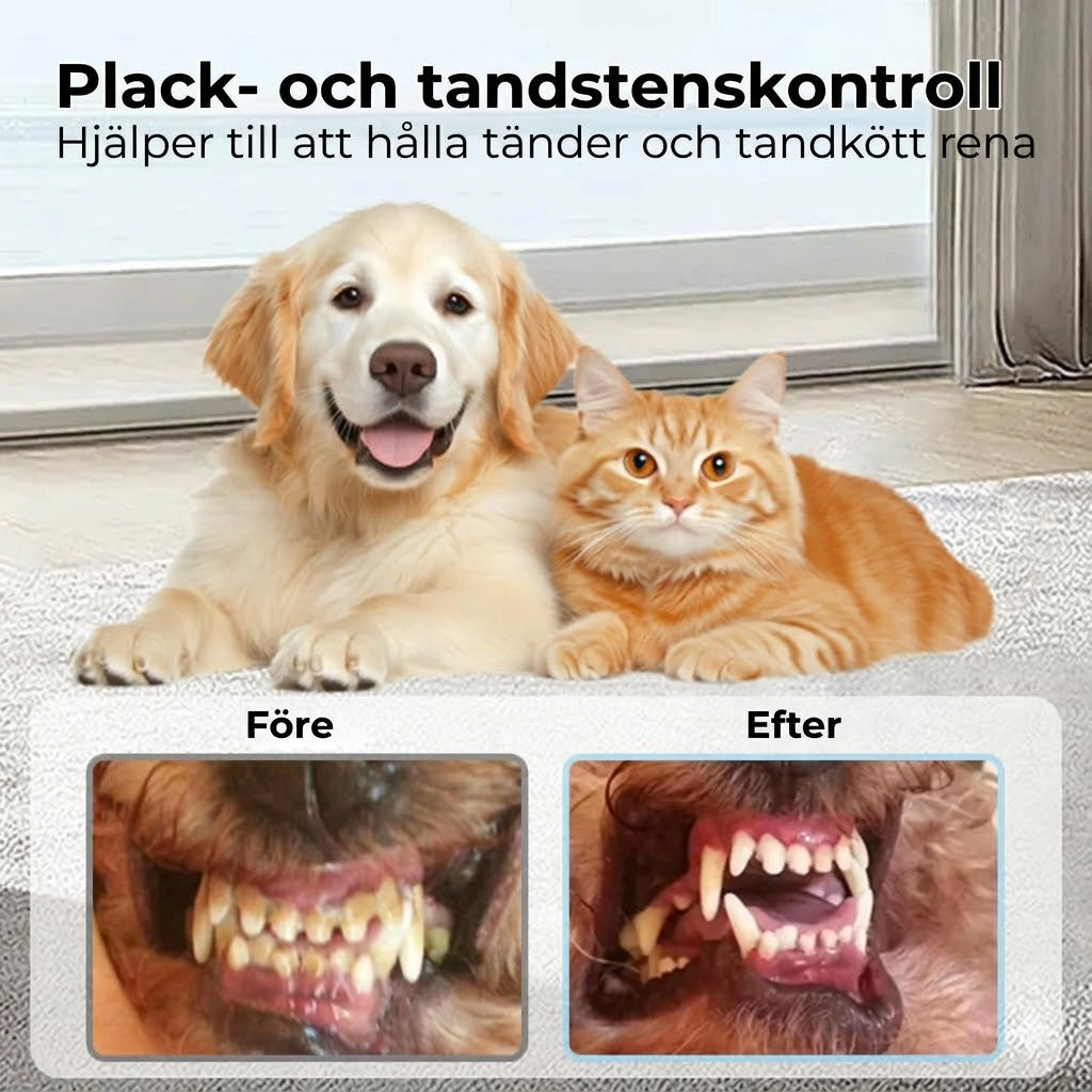 Tandspray för husdjurs tandvård