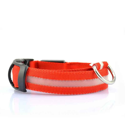 Oplaadbare LED Honden Halsband (via USB)