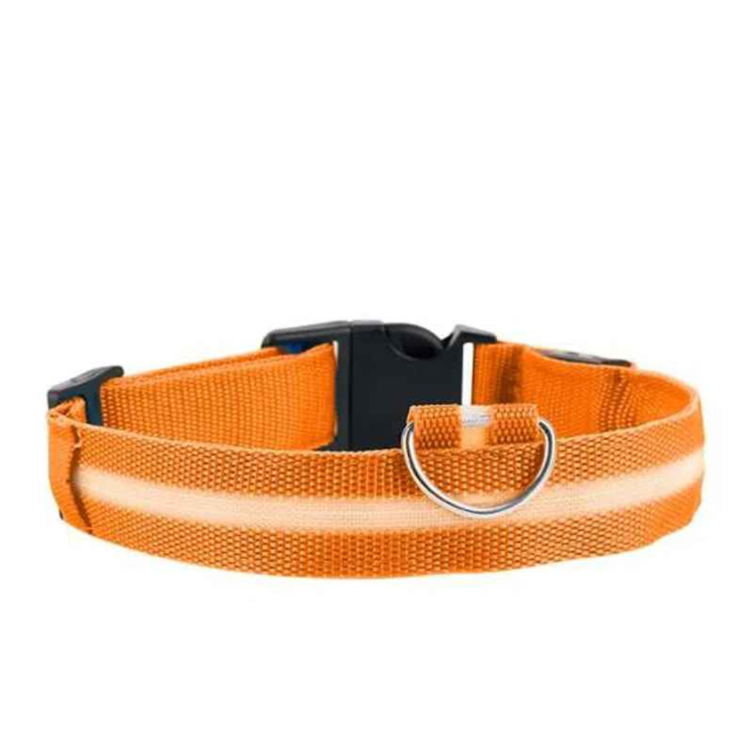 Oplaadbare LED Honden Halsband (via USB)