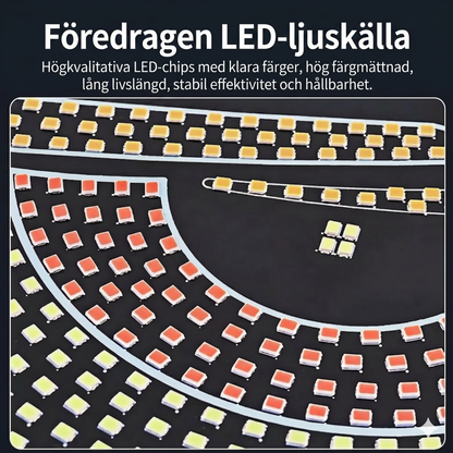 LED Devil Eyes för bilens vindruta