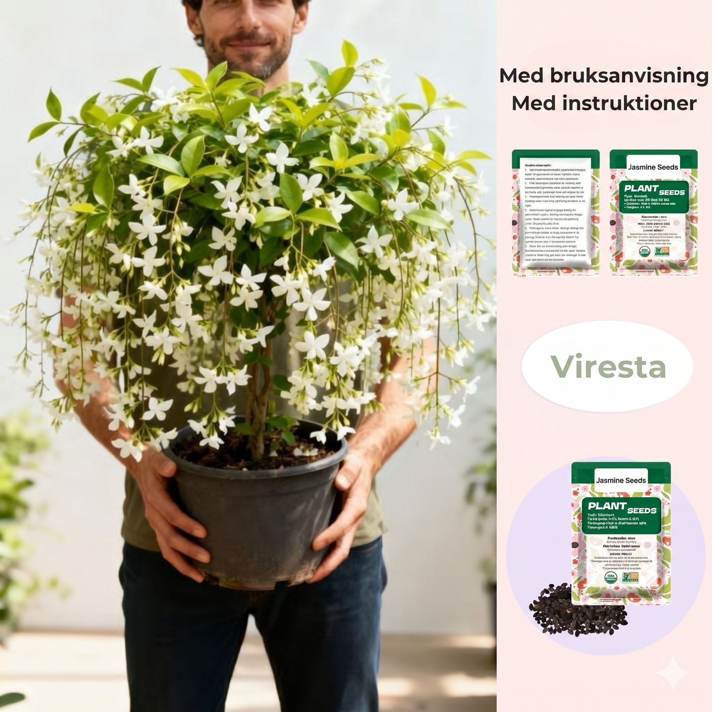 100 jasminfrön (icke-GMO)