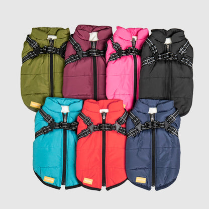 DoggyKings™ hundjacka med integrerad sele – vattentät och varm (3-i-1-design)