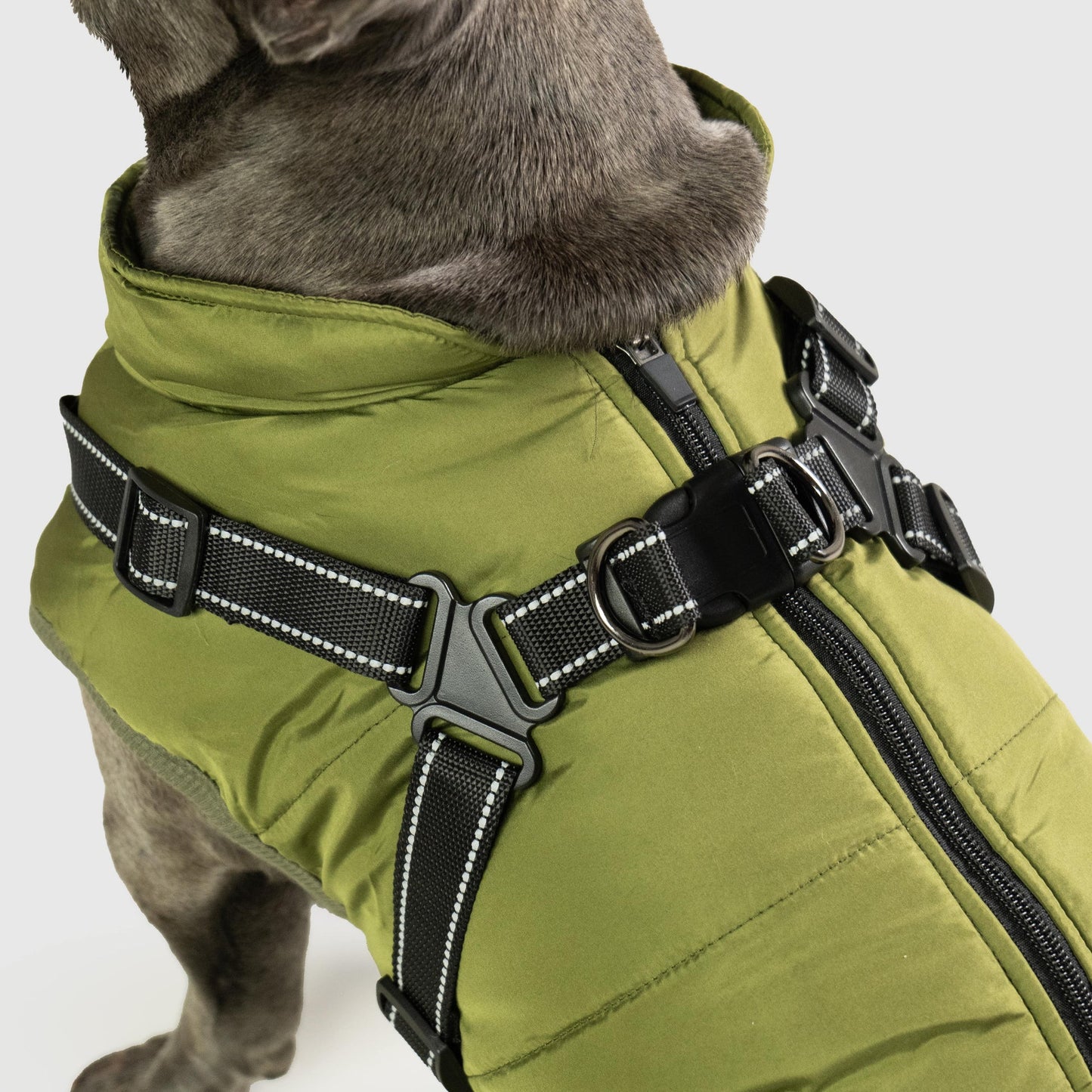 DoggyKings™ hundjacka med integrerad sele – vattentät och varm (3-i-1-design)