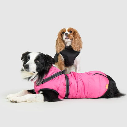 DoggyKings™ hundjacka med integrerad sele – vattentät och varm (3-i-1-design)