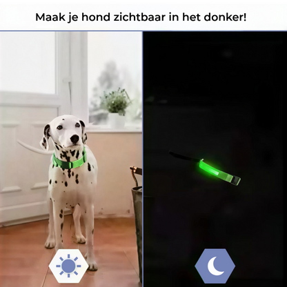 Oplaadbare LED Honden Halsband (via USB)