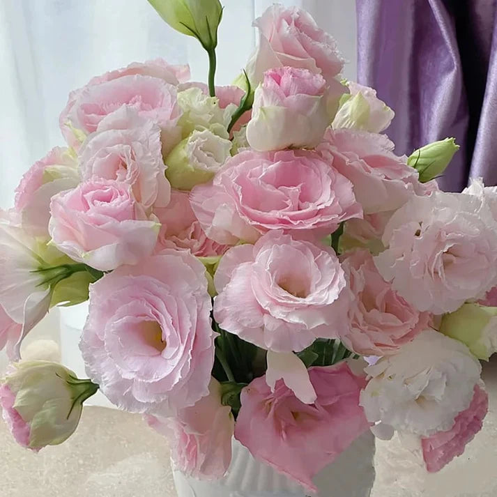 Taggfria Lisianthus-frön (100 st) 💐 Lisianthus-frön