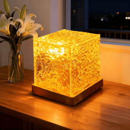 Noorderlicht Projector