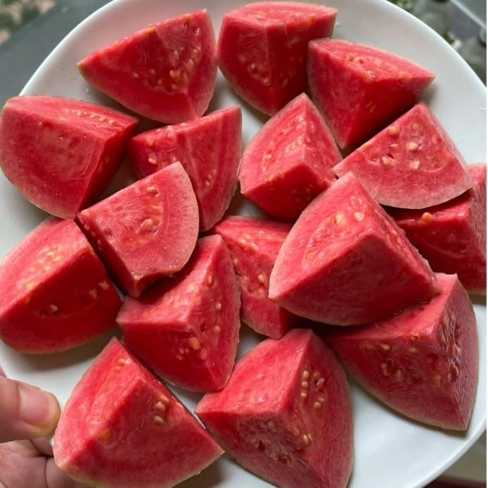 Ekologiska rosa guavafrön – 60 st