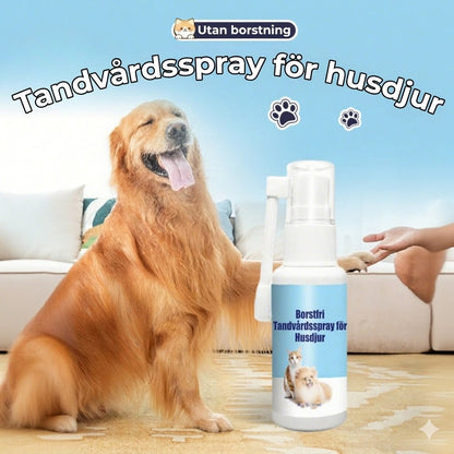 Tandspray för husdjurs tandvård