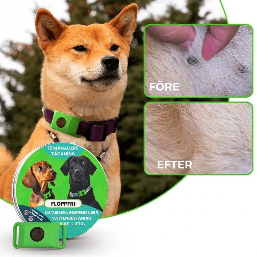 FurLife™ Lopp- och fästinghalsband