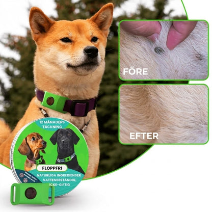 FurLife™ Lopp- och fästinghalsband